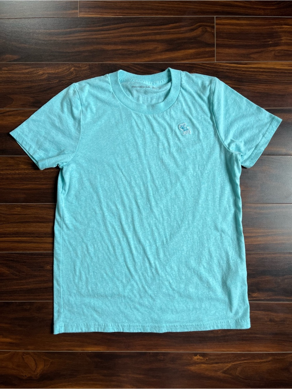 abercrombie kids Light Teal Short Sleeve Crewneck Tee, 13/14, EUC